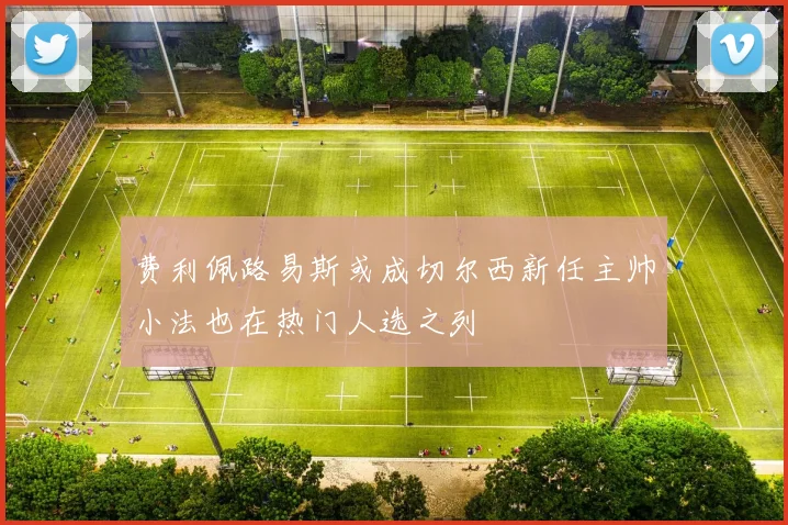 费利佩路易斯或成切尔西新任主帅小法也在热门人选之列