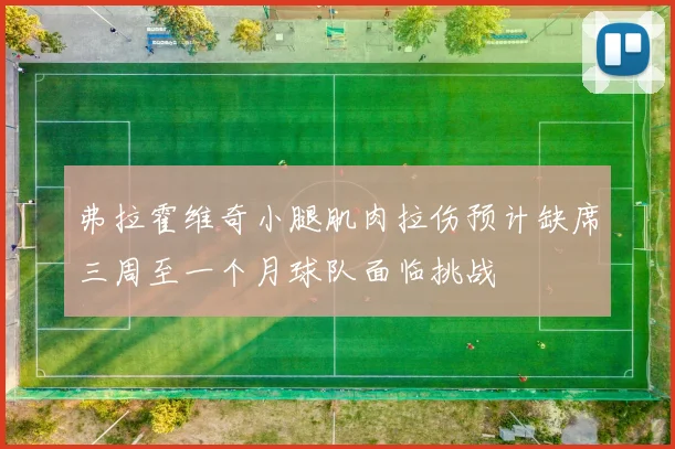 弗拉霍维奇小腿肌肉拉伤预计缺席三周至一个月球队面临挑战